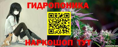 МДПВ Гагарин