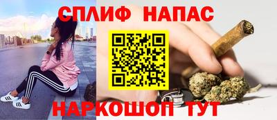 mdma Гатчина
