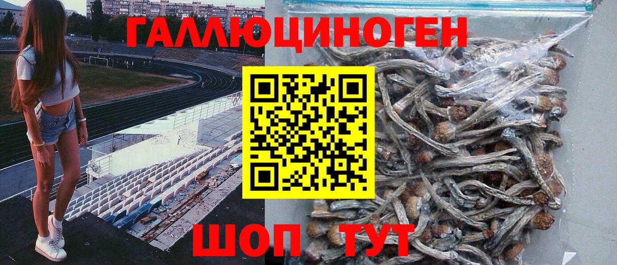 Галлюциногенные грибы ЛСД Октябрьский