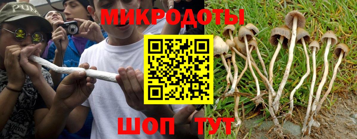 Псилоцибиновые грибы ЛСД  Вход с VPN  цены   Октябрьский 